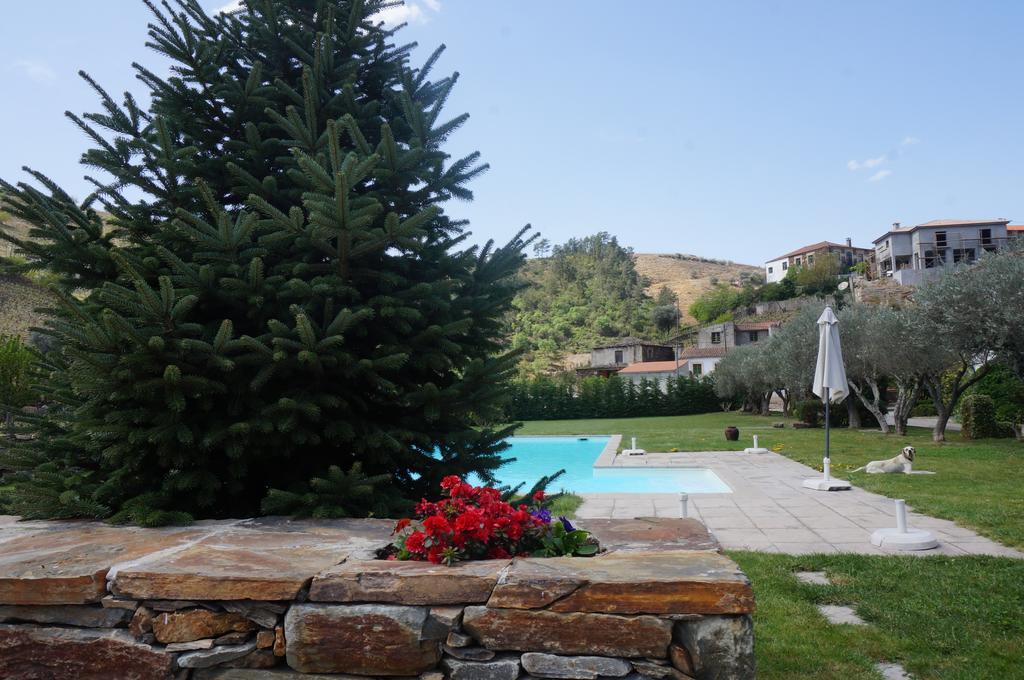 Quinta Madureira Villa Alfoloes Dış mekan fotoğraf