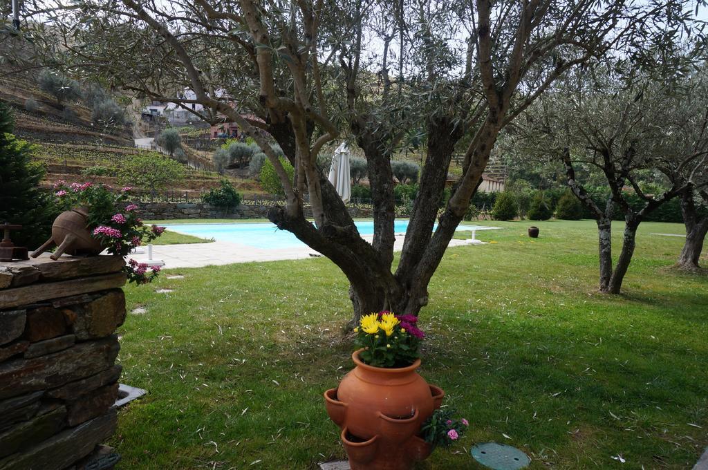Quinta Madureira Villa Alfoloes Dış mekan fotoğraf