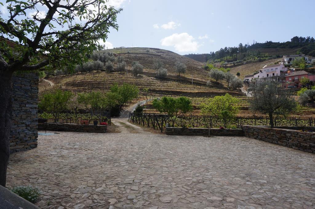 Quinta Madureira Villa Alfoloes Dış mekan fotoğraf