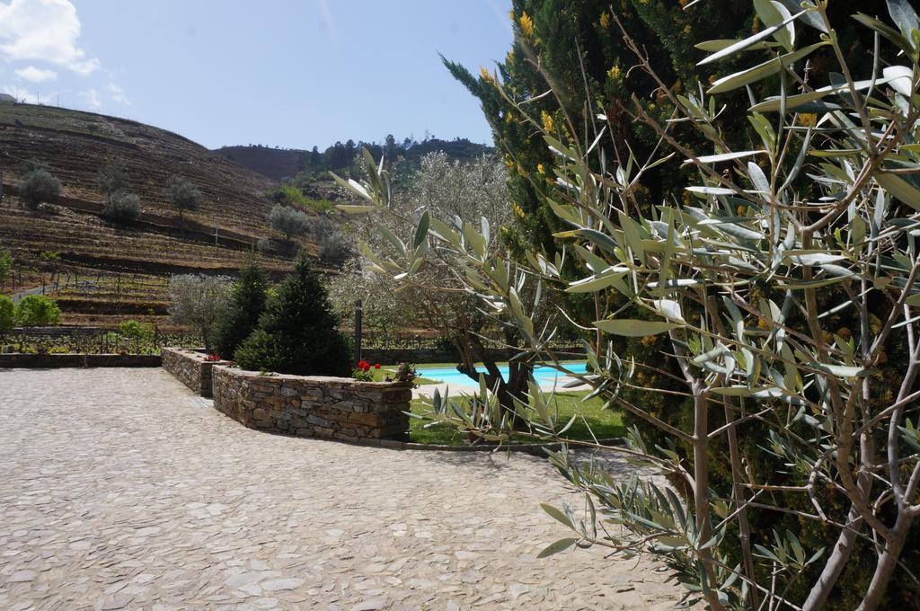 Quinta Madureira Villa Alfoloes Dış mekan fotoğraf