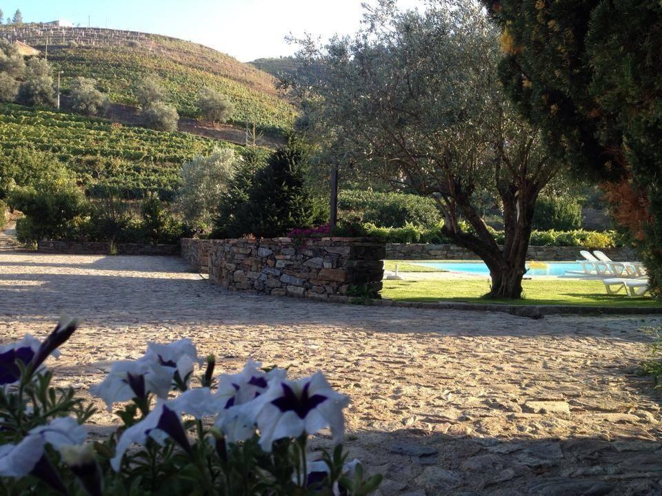 Quinta Madureira Villa Alfoloes Dış mekan fotoğraf