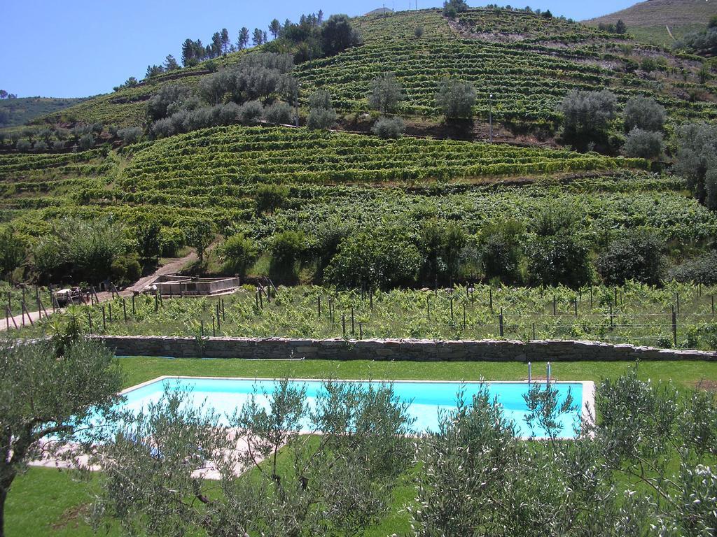 Quinta Madureira Villa Alfoloes Dış mekan fotoğraf