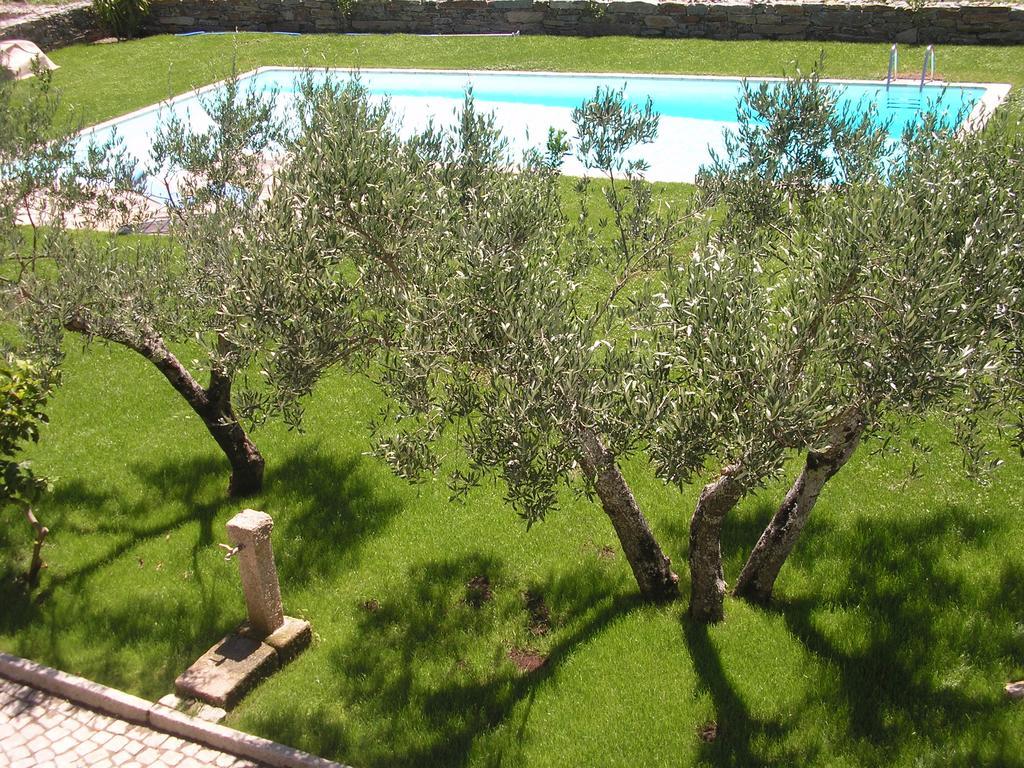 Quinta Madureira Villa Alfoloes Dış mekan fotoğraf